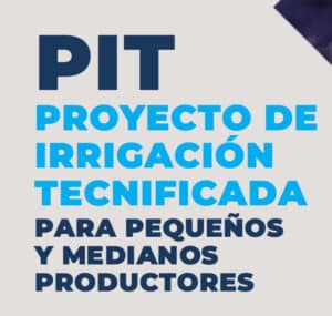 WhatsApp Image 2025-09-19 at 12.09.20 PM (1)